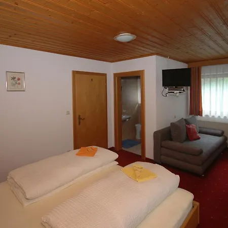 Haus Rudigier 3* Каппль